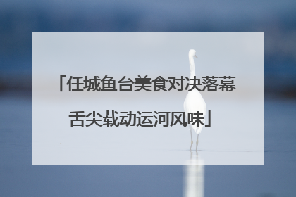 任城鱼台美食对决落幕 舌尖载动运河风味