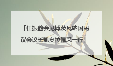 任振鹤会见博茨瓦纳国民议会议长凯奥拉佩采一行