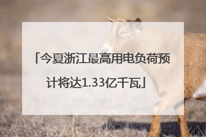 今夏浙江最高用电负荷预计将达1.33亿千瓦