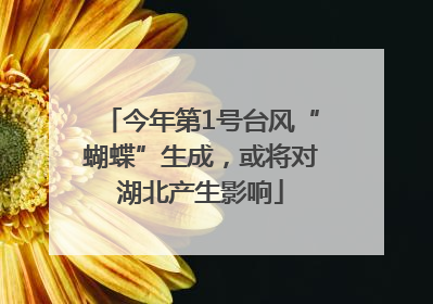 今年第1号台风“蝴蝶”生成，或将对湖北产生影响