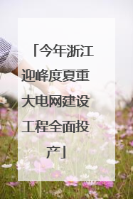 今年浙江迎峰度夏重大电网建设工程全面投产
