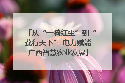 从“一骑红尘”到“荔行天下” 电力赋能广西智慧农业发展
