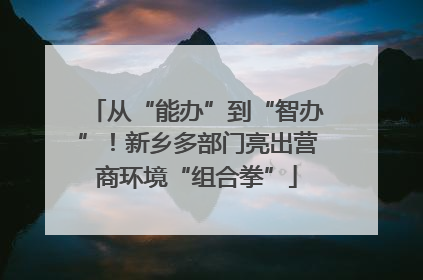 从“能办”到“智办”！新乡多部门亮出营商环境“组合拳”