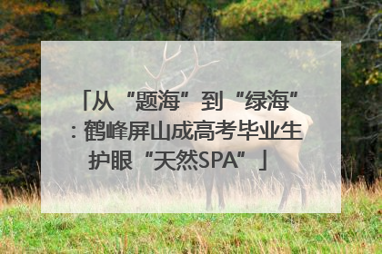 从“题海”到“绿海”：鹤峰屏山成高考毕业生护眼“天然SPA”