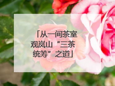 从一间茶室观岚山“三茶统筹”之道