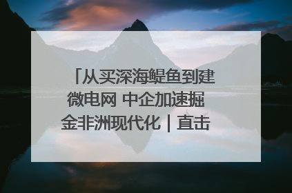 从买深海鳀鱼到建微电网 中企加速掘金非洲现代化｜直击中非经贸博览会