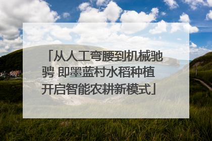 从人工弯腰到机械驰骋 即墨蓝村水稻种植开启智能农耕新模式