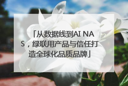 从数据线到AI NAS，绿联用产品与信任打造全球化品质品牌