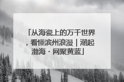 从海瓷上的万千世界，看懂滨州浪漫｜潮起渤海・网聚黄蓝