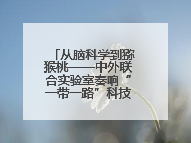从脑科学到猕猴桃——中外联合实验室奏响“一带一路”科技合作交响曲