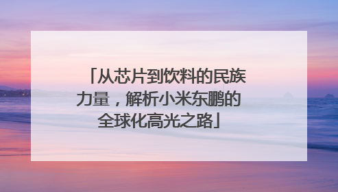 从芯片到饮料的民族力量，解析小米东鹏的全球化高光之路