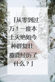 从零到过万！一度本土灭绝如今种群复壮 麋鹿经历了什么？