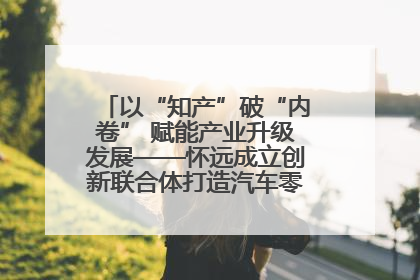 以“知产”破“内卷” 赋能产业升级发展——怀远成立创新联合体打造汽车零部件产业新高地