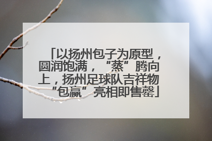 以扬州包子为原型，圆润饱满，“蒸”腾向上，扬州足球队吉祥物“包赢”亮相即售罄