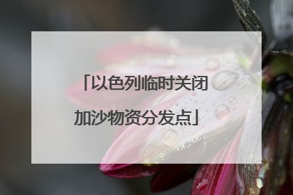 以色列临时关闭加沙物资分发点
