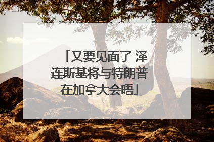又要见面了 泽连斯基将与特朗普在加拿大会晤