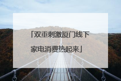 双重刺激厦门线下家电消费热起来