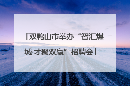 双鸭山市举办“智汇煤城·才聚双赢”招聘会