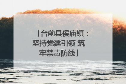 台前县侯庙镇：坚持党建引领 筑牢禁毒防线