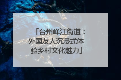 台州峰江街道：外国友人沉浸式体验乡村文化魅力