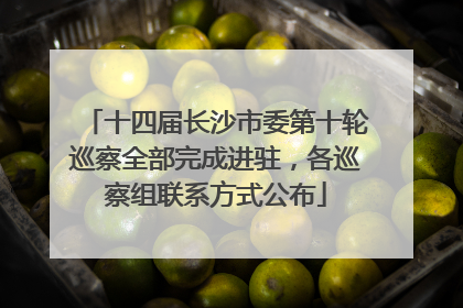 十四届长沙市委第十轮巡察全部完成进驻，各巡察组联系方式公布