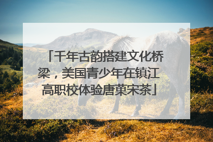 千年古韵搭建文化桥梁，美国青少年在镇江高职校体验唐菓宋茶