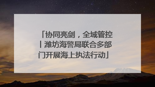 协同亮剑，全域管控丨潍坊海警局联合多部门开展海上执法行动