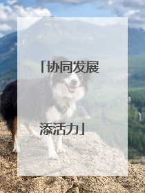 协同发展添活力