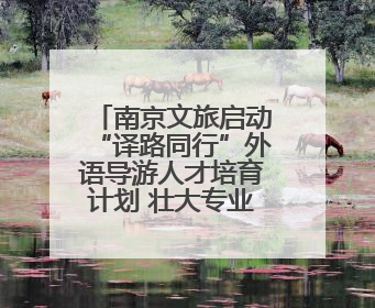 南京文旅启动“译路同行”外语导游人才培育计划 壮大专业人才队伍助力重要国际旅游目的地建设