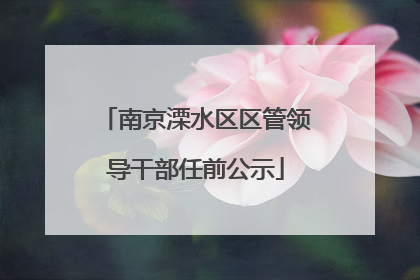 南京溧水区区管领导干部任前公示