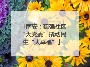 南安：建强社区“大党委”撬动民生“大幸福”