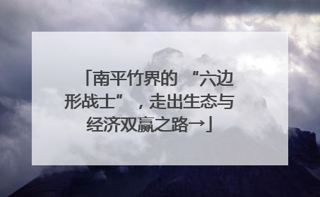 南平竹界的 “六边形战士”，走出生态与经济双赢之路→