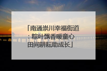 南通崇川幸福街道：粽叶飘香暖童心 田间耕耘助成长