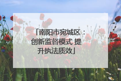 南阳市宛城区：创新监督模式 提升执法质效