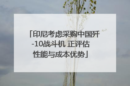 印尼考虑采购中国歼-10战斗机 正评估性能与成本优势