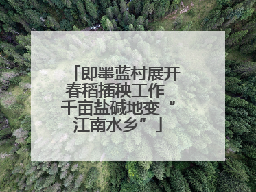 即墨蓝村展开春稻插秧工作 千亩盐碱地变“江南水乡”