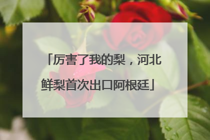 厉害了我的梨，河北鲜梨首次出口阿根廷