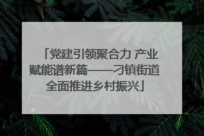党建引领聚合力 产业赋能谱新篇——刁镇街道全面推进乡村振兴