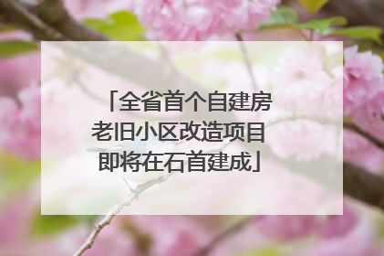 全省首个自建房老旧小区改造项目即将在石首建成