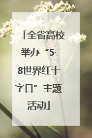 全省高校举办“5·8世界红十字日”主题活动