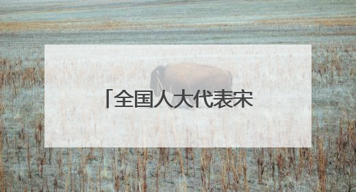 全国人大代表宋燕：构建推进长三角检察一体化学习研究机制