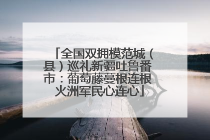 全国双拥模范城（县）巡礼新疆吐鲁番市：葡萄藤蔓根连根 火洲军民心连心