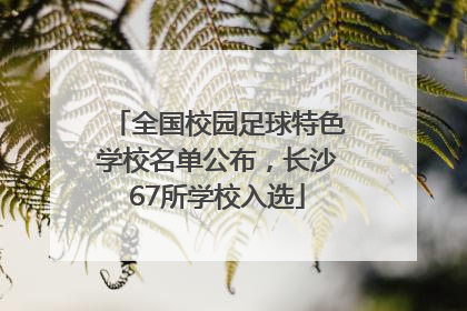 全国校园足球特色学校名单公布，长沙67所学校入选