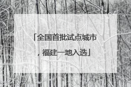 全国首批试点城市，福建一地入选
