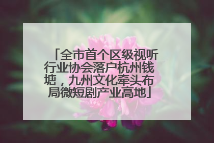 全市首个区级视听行业协会落户杭州钱塘，九州文化牵头布局微短剧产业高地