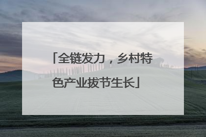 全链发力，乡村特色产业拔节生长