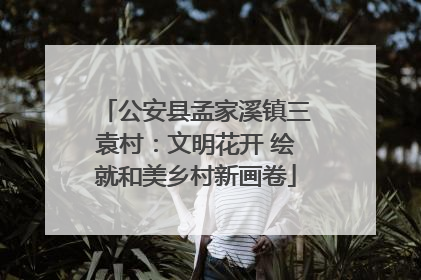 公安县孟家溪镇三袁村：文明花开 绘就和美乡村新画卷