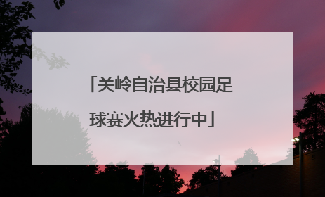 关岭自治县校园足球赛火热进行中