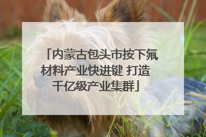 内蒙古包头市按下氟材料产业快进键 打造千亿级产业集群