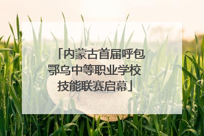 内蒙古首届呼包鄂乌中等职业学校技能联赛启幕